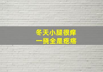 冬天小腿很痒 一挠全是疙瘩